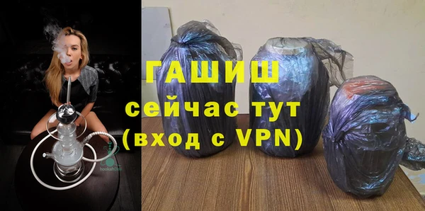 a pvp Бородино